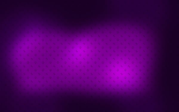 Обои текстуры, лапы, 2560x1600, картинки