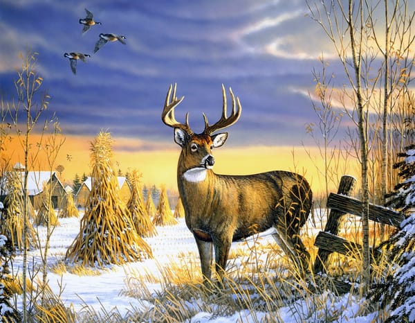 Обои Sam Timm, Country Afternoon, пасмурно, дома, снег, олень, поздняя осень, сено, снопы, живопись, флюгер, деревня, утки, животные