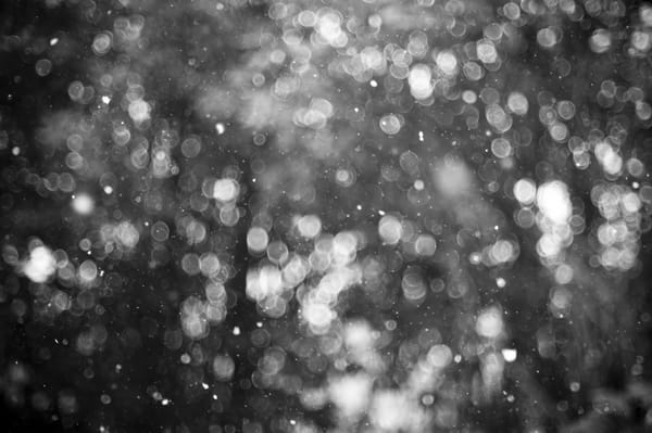 Обои winter, зима, snowflakes, b&w, снежинки