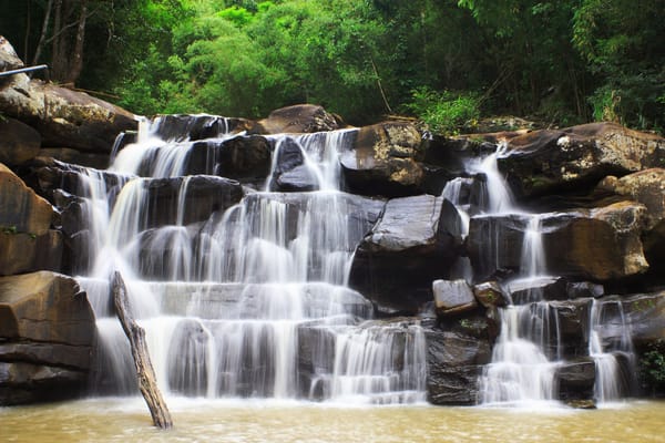Обои деревья, a waterfall, природа, trees, the nature, водопад