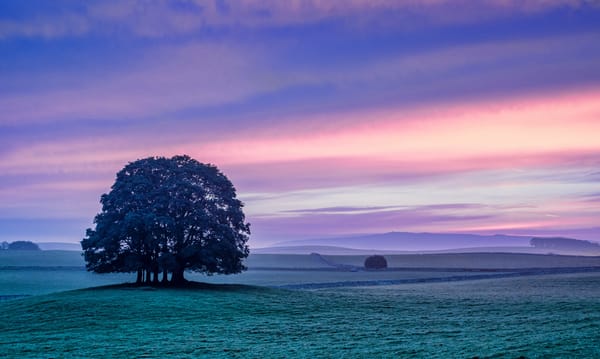 Обои Yorkshire Dales, Gargrave, Autumn, morning