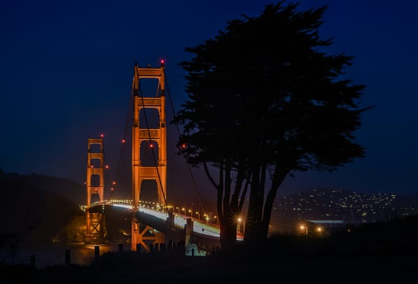 Обои Калифорния, Сан-Франциско, ночь, California, Golden Gate Bridge, Золотые Ворота, дерево, San Francisco, огни, мост