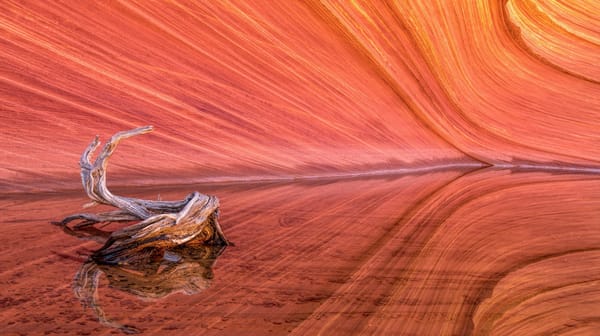 Обои Coyote Buttes, Wave, Red Rock