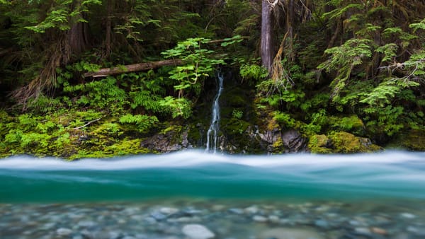 Обои лес, Bacon Creek, река, ручей, США, водопад, Mount Baker-Snoqualmie National Forest, штат Вашингтон