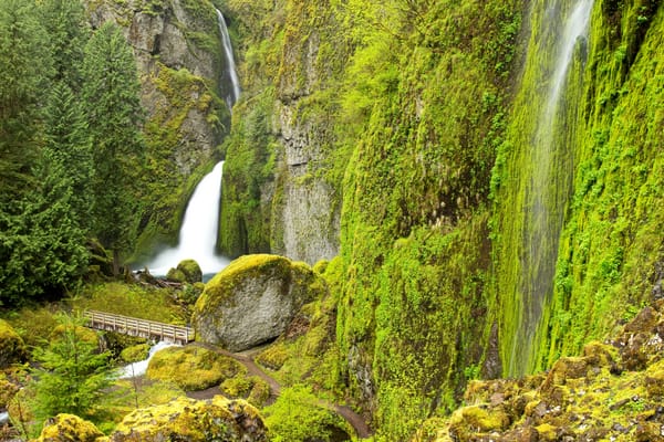 Обои зелень, мостик, тропинка, ручей, Columbia River, Wahclella Falls, Oregon, камни, водопад, деревья, скалы, США, мох