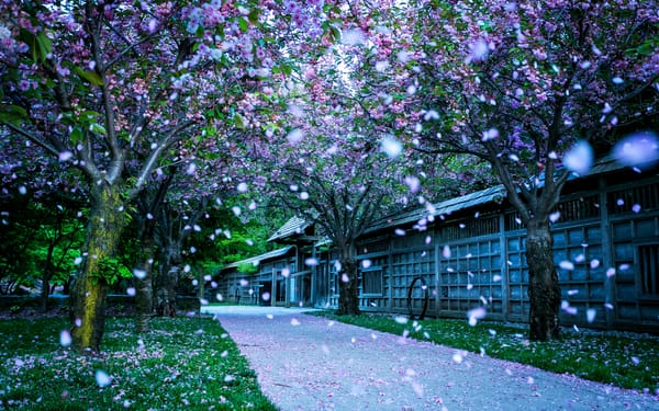 Обои Канада, Mississauga, Провинция Онтарио, Ontario, Kariya Park, Canada, Миссиссога