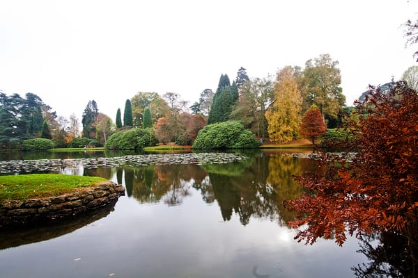 Обои Великобритания, парк, Sheffield Park Garden, пруд, осень, деревья