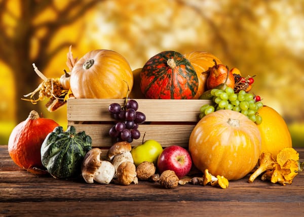 Обои autumn, vegetables, тыква, урожай, осень, pumpkin, натюрморт, still life, овощи, harvest