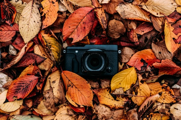 Обои фотоаппарат, листва, осень