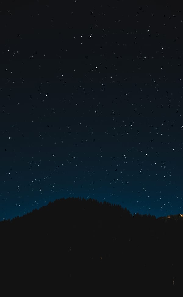 Обои звездное небо, ночь, деревья