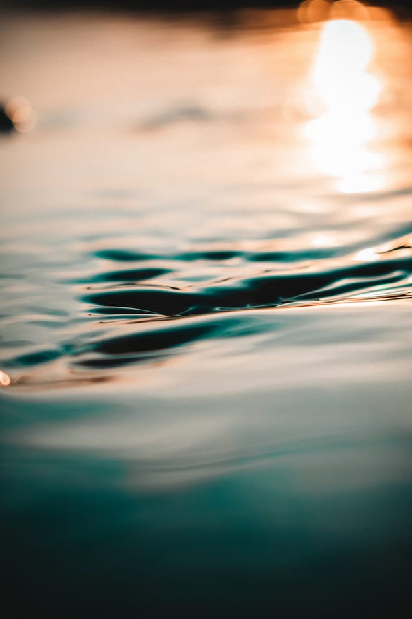 Обои вода, макро, поверхность