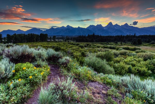 Обои wyoming, grand teton national park, jackson hole