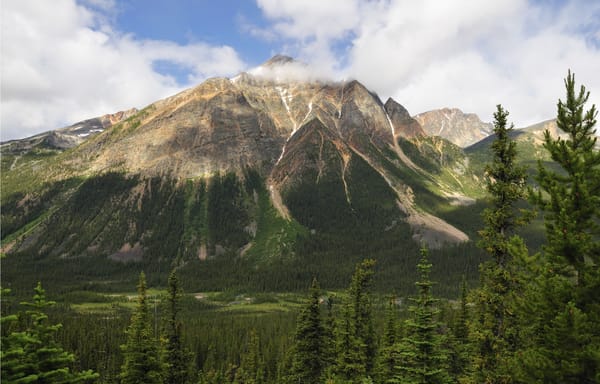 Обои деревья, пейзаж, pyramid mountain, jasper national park, горы