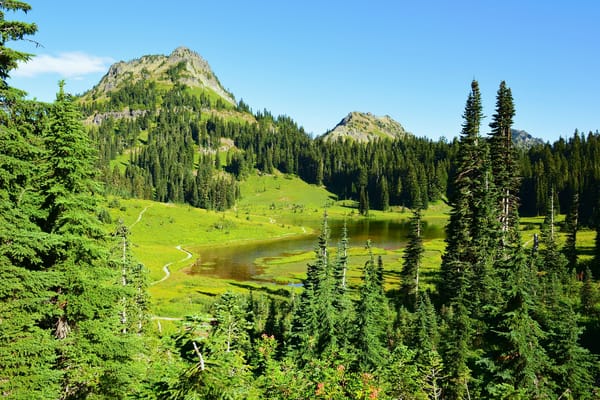 Обои деревья, пейзаж, mount rainier national parkозеро, горы