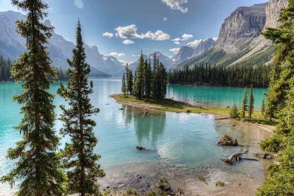Обои деревья, озеро, maligne lake, jasper national park, пейзаж