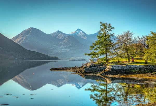 Обои деревья, lake loch duich, шотландия, озеро, отражение, five sisters of kintail, scotland, горы, кинтайл, kintail, пять сестер кинтайла