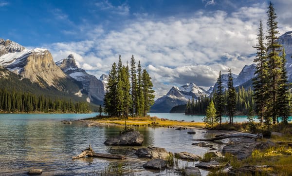 Обои деревья, maligne lake, jasper national park, пейзаж, озеро, горы