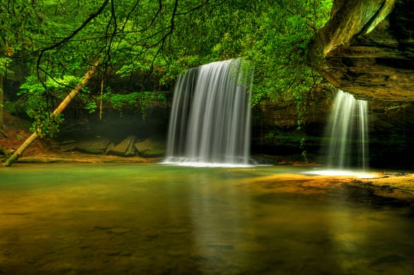 Обои деревья, caney creek falls, bankhead national forest, alabama, водопад, река