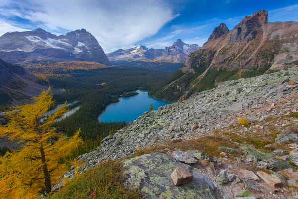 Обои british columbia, lake ohara, yoho national park