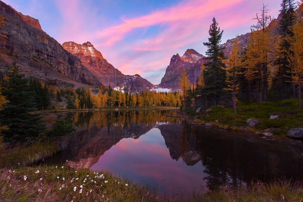 Обои british columbia, yoho national park, lake ohara