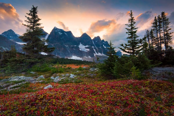 Обои canada, fall color surrounding the ramparts - the ramparts, tonquin valley, alberta, jasper national park