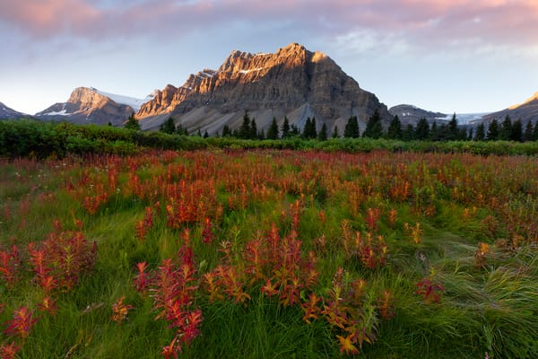 Обои canada, fields of red - crowfoot glacier, banff national park, bow lake, alberta, icefields parkway