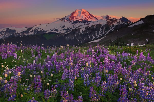 Обои washington, a moment of alpenglow - skyline divide, mount baker area