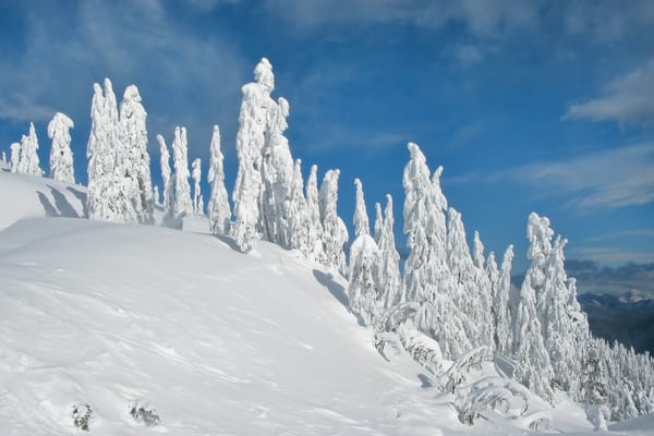 Обои canada, lower mainland, crown of the jewel - mount seymour provincial park, bc