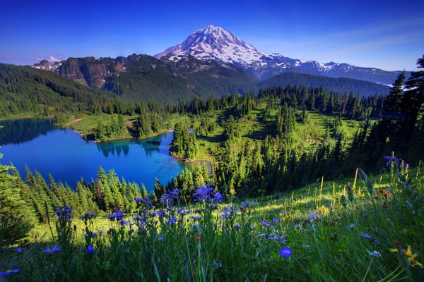 Обои washington, mount rainier national park, tolmie peak