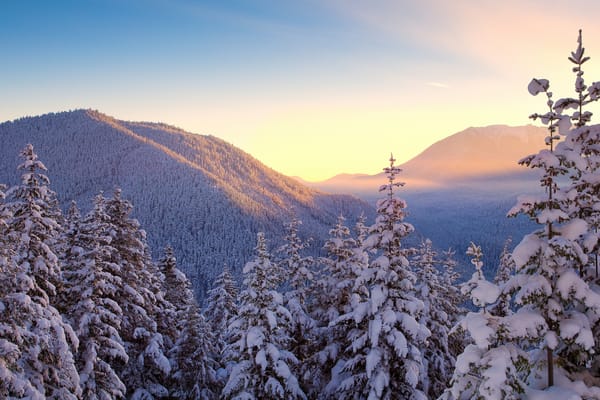 Обои olympic national park, first light on the hills - hurricane ridge, washington st