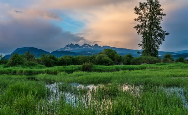 Обои canada, marshland, british columbia, the ridge, pitt meadows