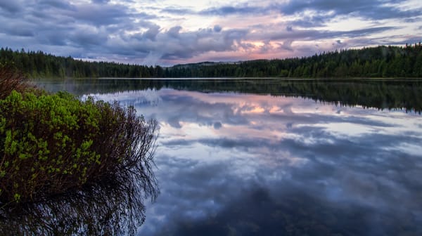 Обои canada, campbell river, lake provincial park, morton lake, morton, british columbia