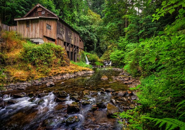 Обои лес, washington, cedar creek grist mill, вудленд, woodland, мельница, штат вашингтон, река