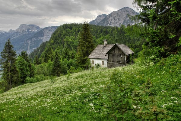 Обои деревья, hallstatt in austria, горы, дом