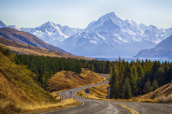 Обои деревья, пейзаж, горы, new zealand, mount cook national park, дорога