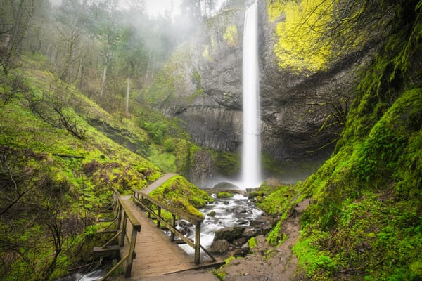 Обои Latourell Falls waterfall, мост, природа, Oregon, Columbia River Gorge, речка, водопад