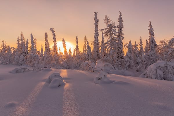 Обои Salekhard, лесотундра, закат, зимняя тундра, Russia, снег, пейзаж, деревья, сугробы, зима