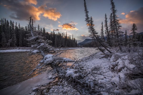 Обои Bow River, Национальный парк Банф, Канада