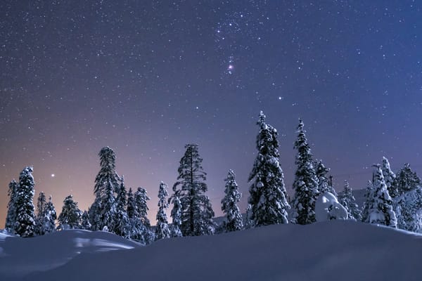 Звезды Зимой Фото