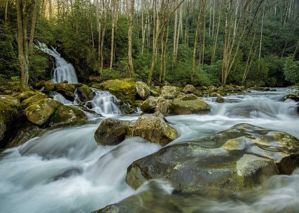 Обои North Carolina, река, камни, водопад, деревья, Great Smoky Mountains National Park, лес, пейзаж, природа