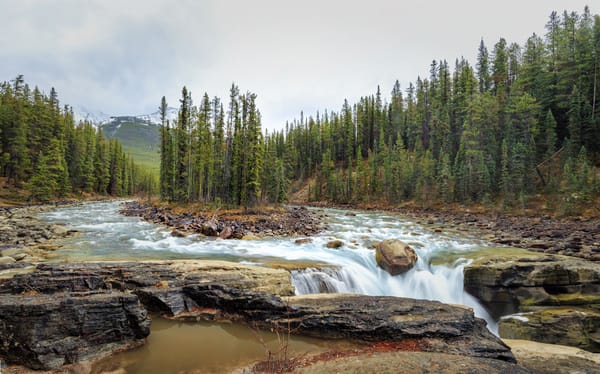 Обои Sunwapta Falls, деревья, пейзаж, река, Jasper National Park, водопад