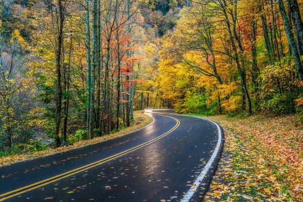 Обои Smoky Mountains National Park, дорога, деревья, лес, Грейт Смоки Маунтинс Парк, пейзаж, осень, штат Теннесси