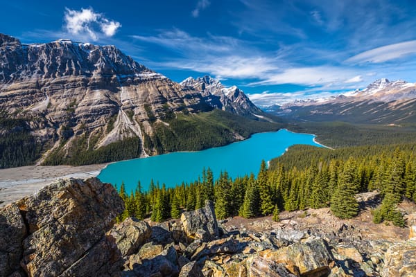 Обои Peyto Lake, озеро, Озеро Пейто, скалы, Canada, деревья, Национальный Парк Банф, пейзаж, Banff National Park, горы, лес, Alberta