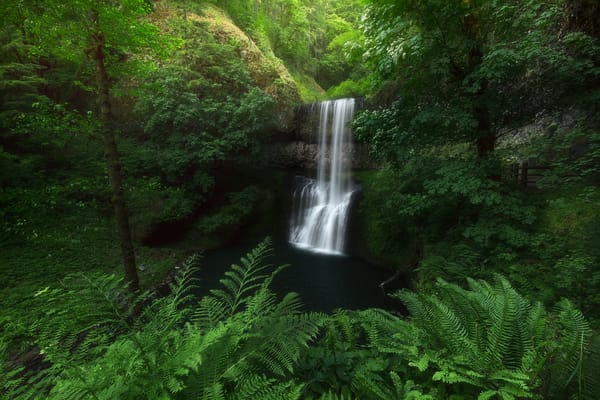 Обои Silver falls state park, лес, природа, пейзаж, водопад, лесной водопад, деревья