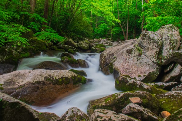 Обои North Carolina, деревья, река, лес, Great Smoky Mountains National Park, камни, пейзаж, природа, водопад