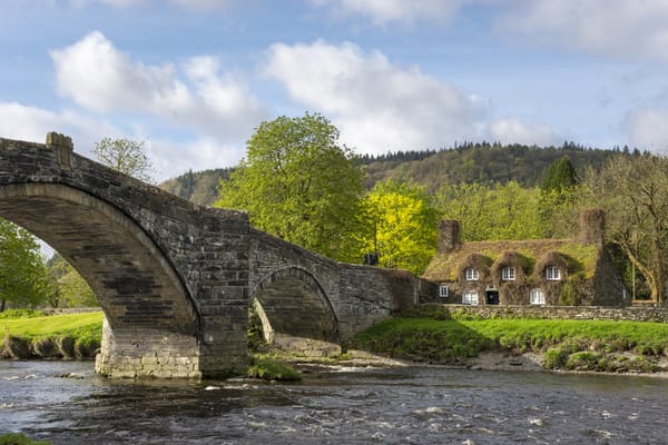 Обои Лланрвст, Северный Уэльс, Conwy, Llanrwst, мост, North Wales, River Conwy, Snowdonia, Чайный дом, река, Конви, деревья