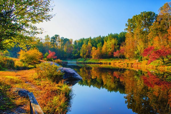 Обои Fall at DeHart Botanical Gardens, природа, река, парк, пейзаж, NC, мост, Franklin County, осень, деревья, осенние краски