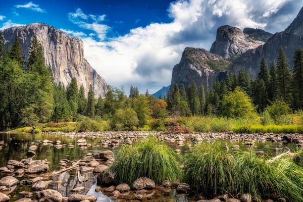 Обои Yosemite National Park, США, камни, пейзаж, река, деревья, Калифорния, Йосемитский национальный парк, горы
