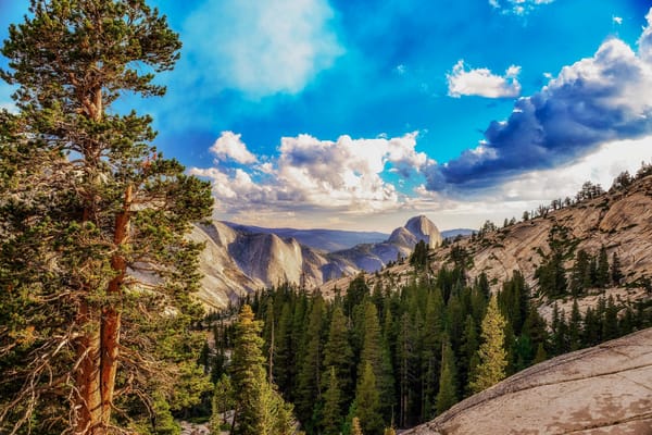 Обои Yosemite National Park, деревья, Йосемитский национальный парк, США, пейзаж, Калифорния, горы