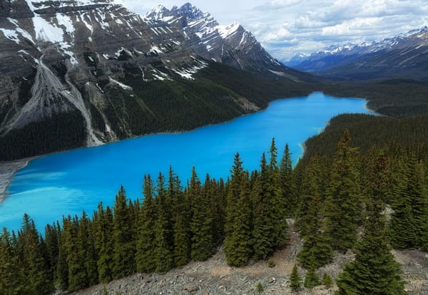 Обои Peyto Lake, Banff National Park, пейзаж, озеро, лес, деревья, горы, Национальный Парк Банф, Озеро Пейто, скалы, Alberta, Canada